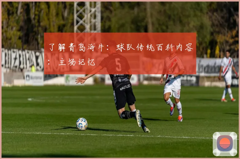 了解青岛海牛：球队传统百科内容：主场记忆