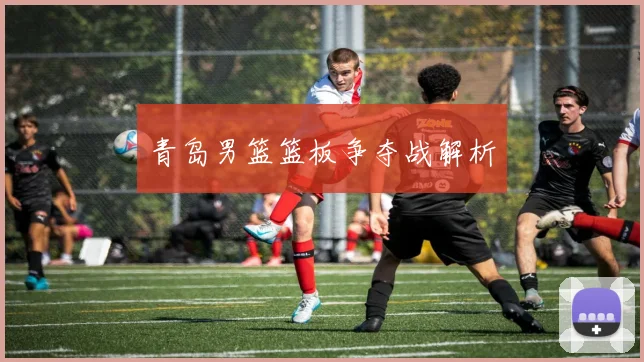 青岛男篮篮板争夺战解析