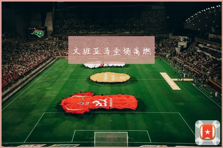 文班亚马全场高燃