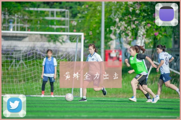 黄蜂全力出击