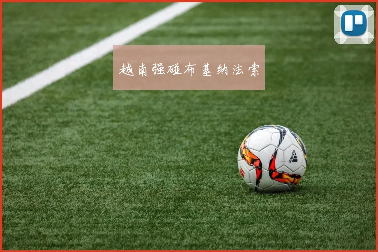 越南强碰布基纳法索