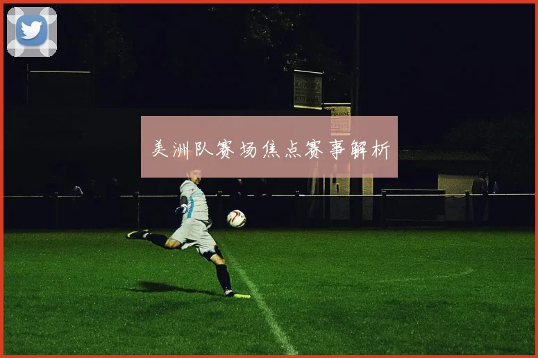 美洲队赛场焦点赛事解析