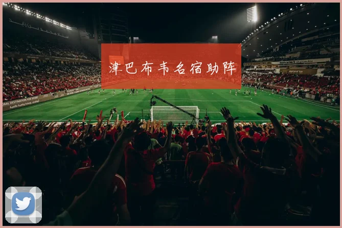 津巴布韦名宿助阵