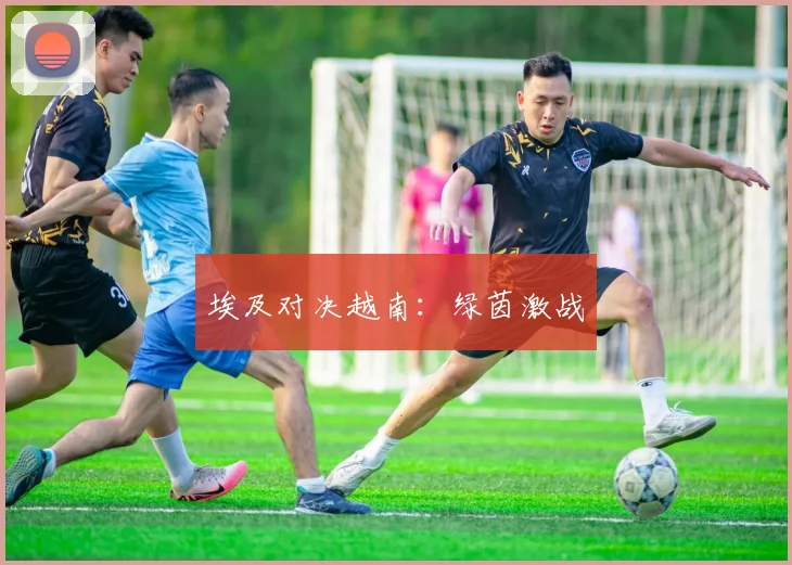 埃及对决越南：绿茵激战