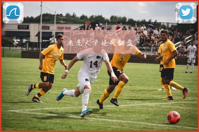 老虎大学逆风翻盘