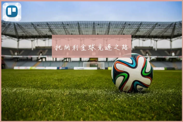 托纳利金球竞逐之路
