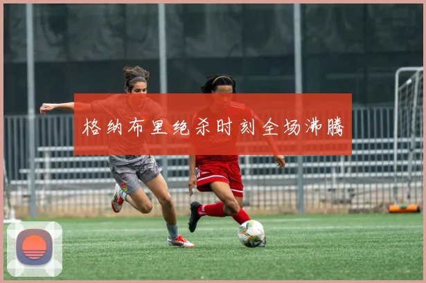 格纳布里绝杀时刻全场沸腾