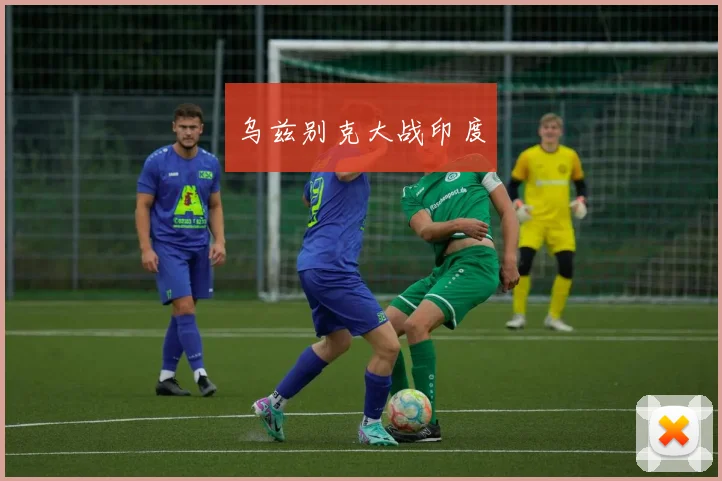 乌兹别克大战印度