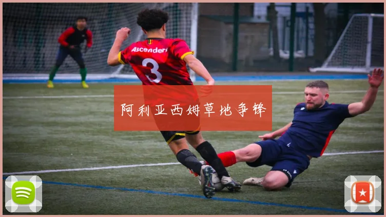 阿利亚西姆草地争锋