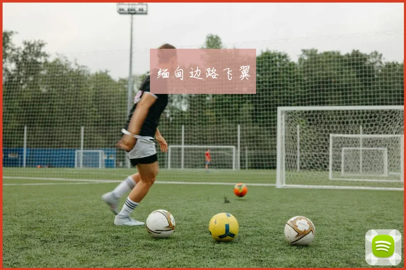 缅甸边路飞翼