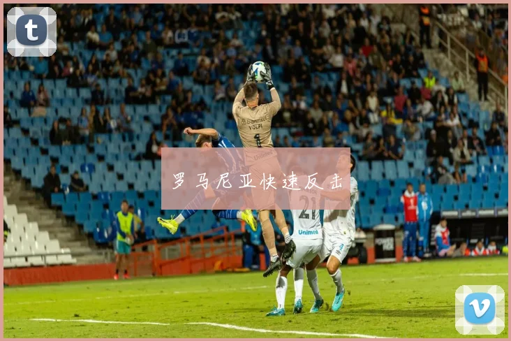 罗马尼亚快速反击