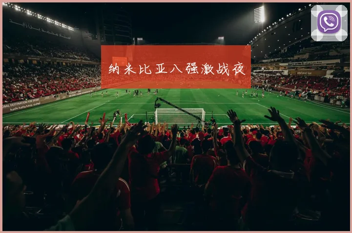 纳米比亚八强激战夜