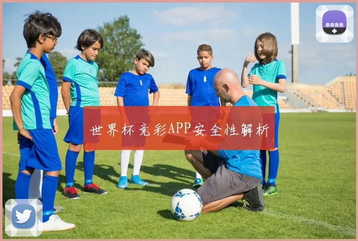 世界杯竞彩APP安全性解析