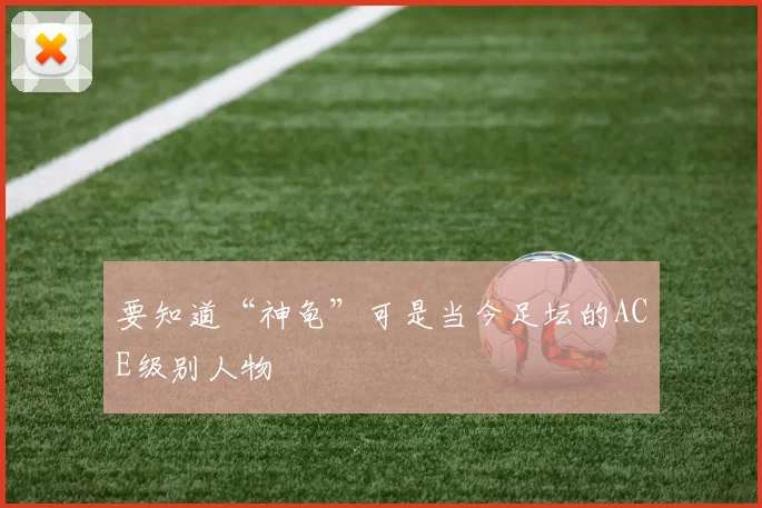要知道“神龟”可是当今足坛的ACE级别人物