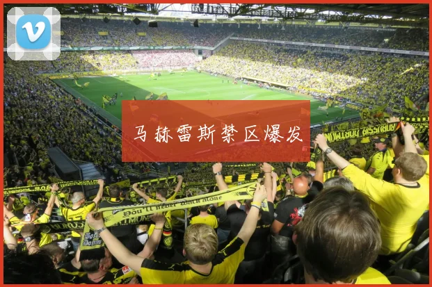 马赫雷斯禁区爆发