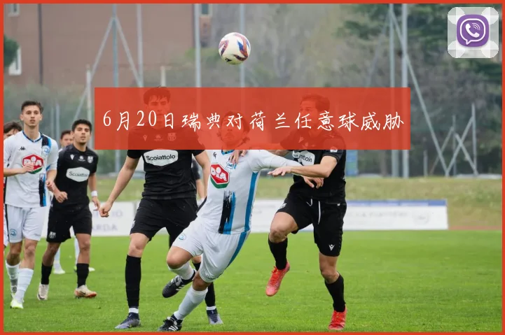 6月20日瑞典对荷兰任意球威胁