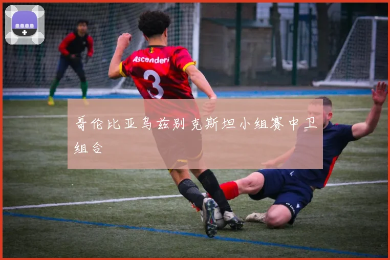 哥伦比亚乌兹别克斯坦小组赛中卫组合