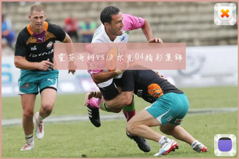 霍芬海姆vs沙尔克04精彩集锦