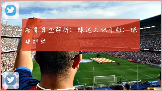 布鲁日全解析：球迷文化介绍：球迷组织