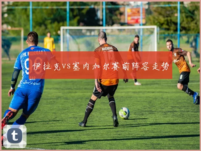 伊拉克vs塞内加尔赛前阵容走势